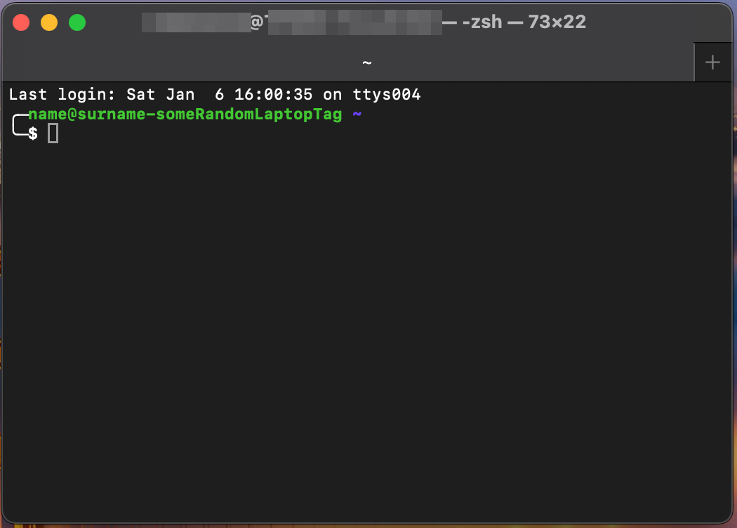 Terminal screenshot